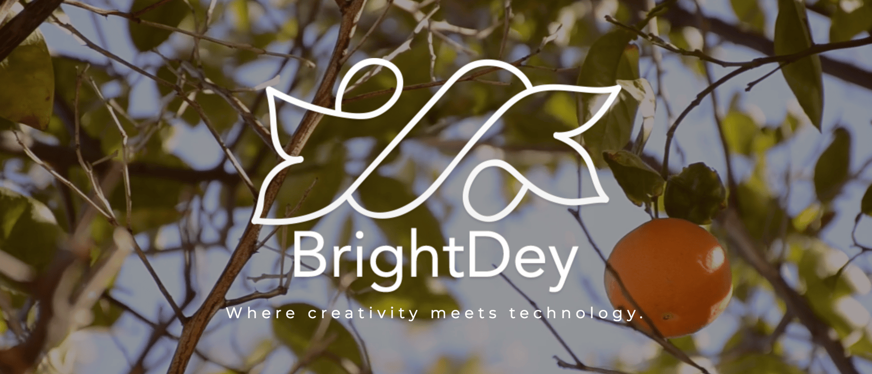 BrightDey Marketing BrightDey Marketing