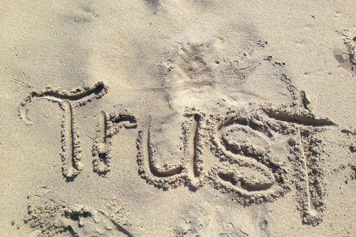 build consumer trust